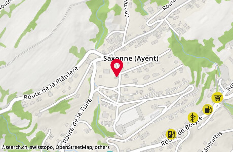 Route Champ de la Grange 15, 1966 Saxonne (Ayent)
