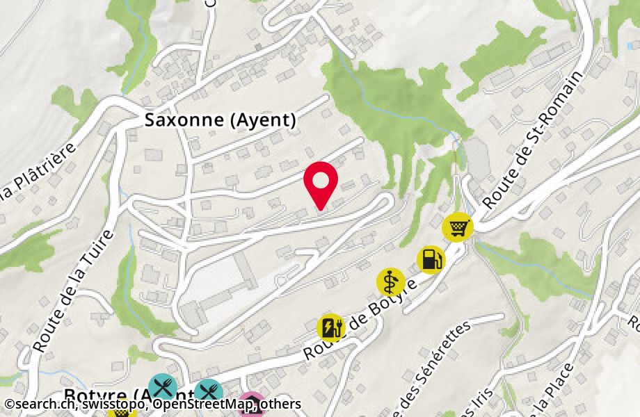 Route Champ de la Grange 18, 1966 Saxonne (Ayent)