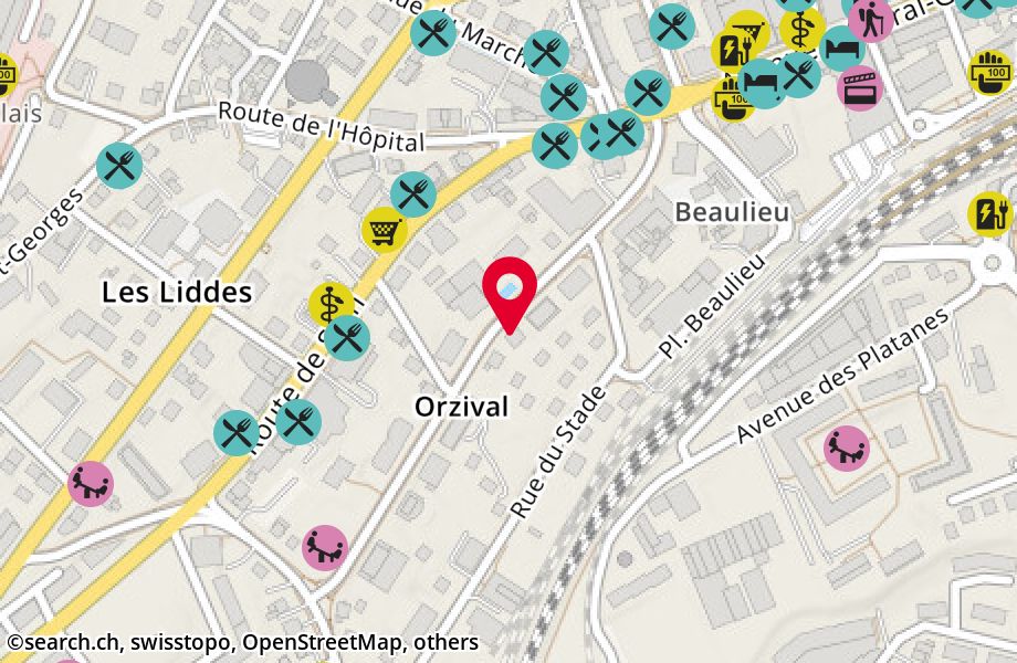 Rue d'Orzival 5, 3960 Sierre