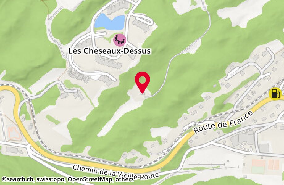 Route des Cheseaux-Dessus 1E, 1264 St-Cergue