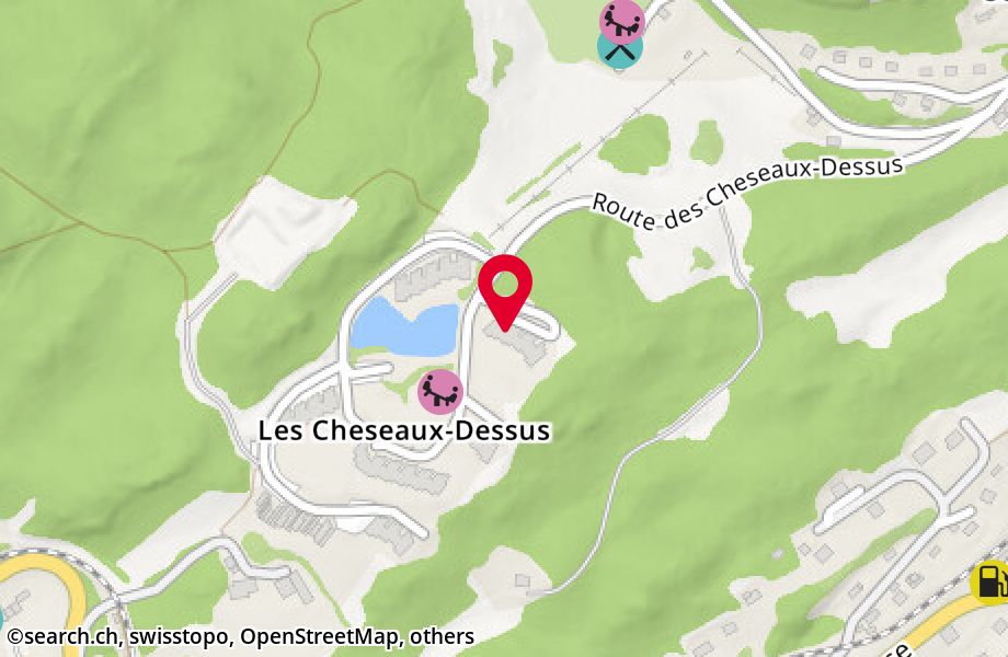 Route des Cheseaux-Dessus 2B, 1264 St-Cergue
