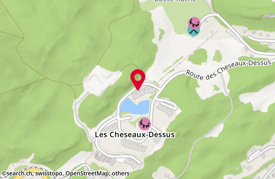 Route des Cheseaux-Dessus B2, 1264 St-Cergue