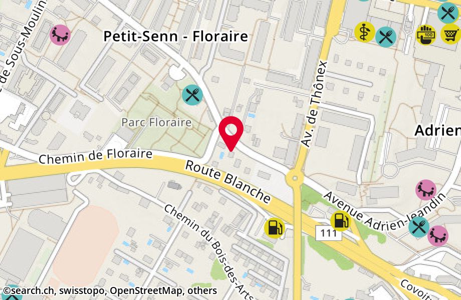 Avenue Petit-Senn 54, 1226 Thônex