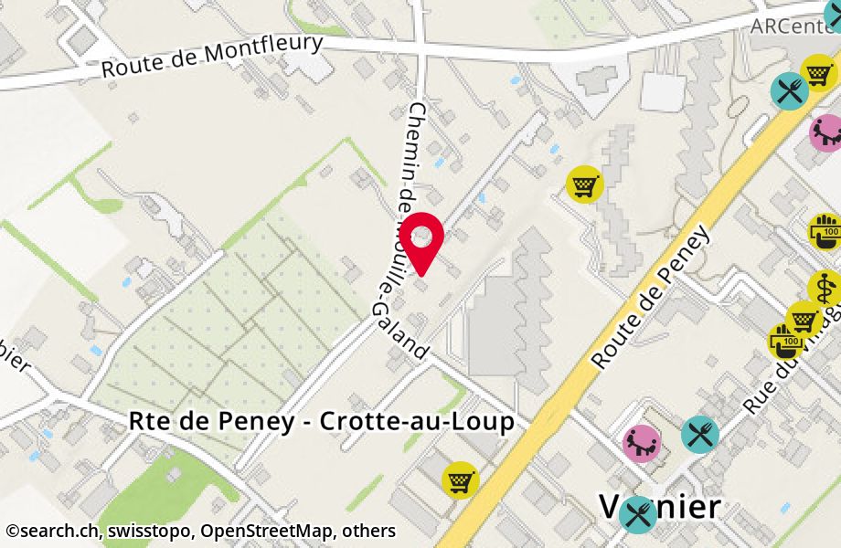 Chemin de Mouille-Galand 8A, 1214 Vernier