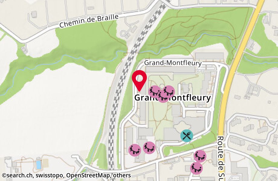 Grand-Montfleury 14, 1290 Versoix