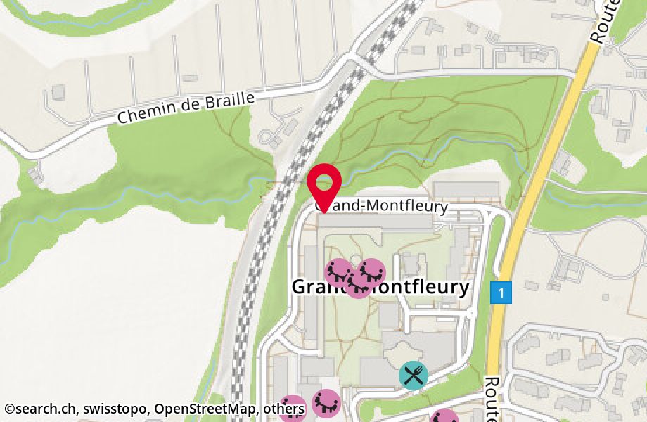 Grand-Montfleury 18, 1290 Versoix
