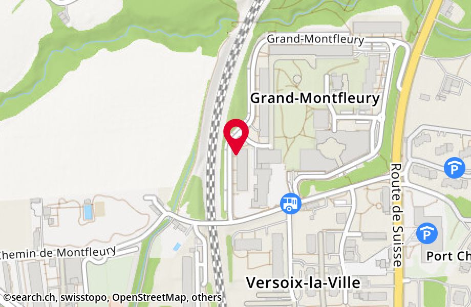 Grand-Montfleury 6, 1290 Versoix