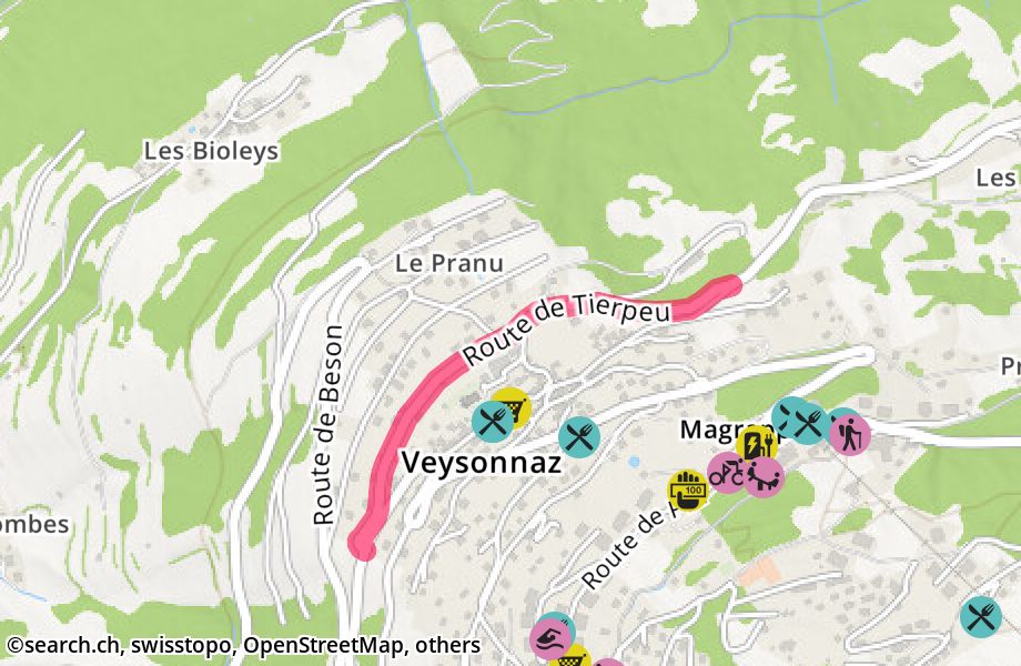 Route de Tierpeu, 1993 Veysonnaz