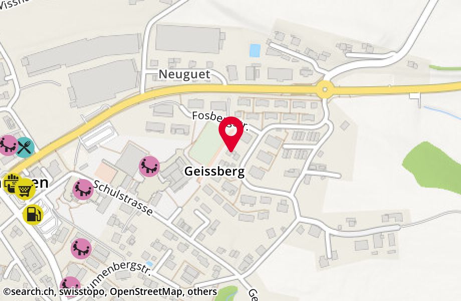Geissbergstrasse 30, 8633 Wolfhausen