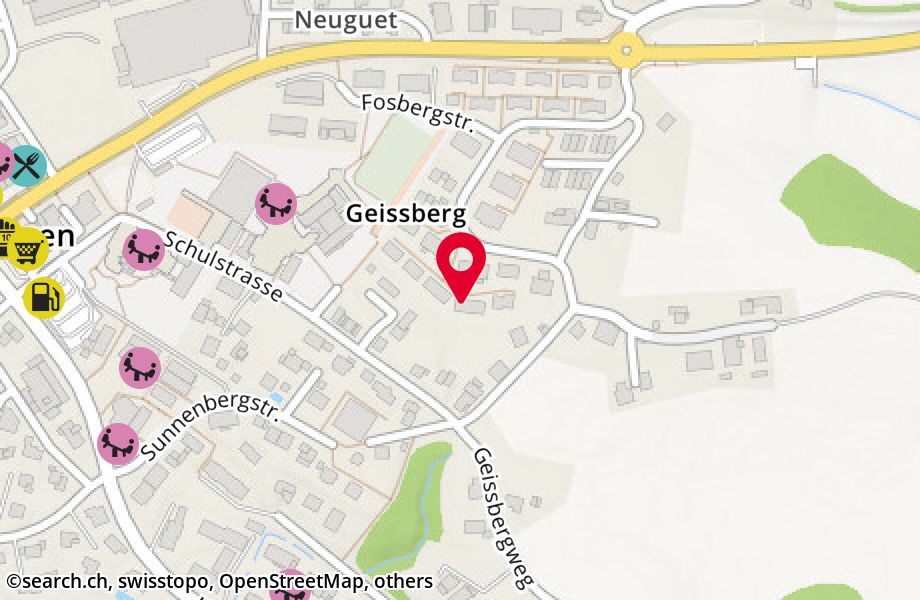 Geissbergstrasse 62, 8633 Wolfhausen