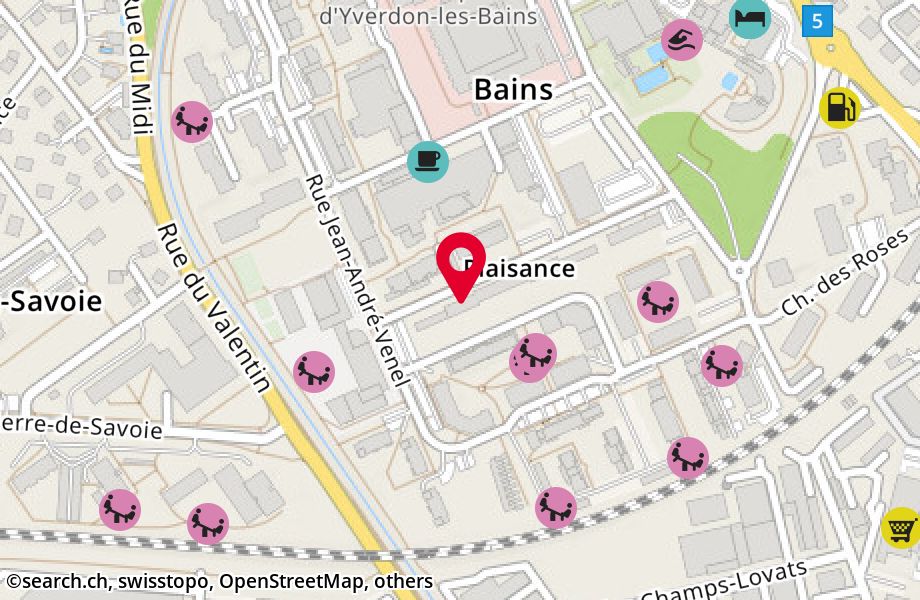 Rue de Plaisance 11, 1400 Yverdon-les-Bains