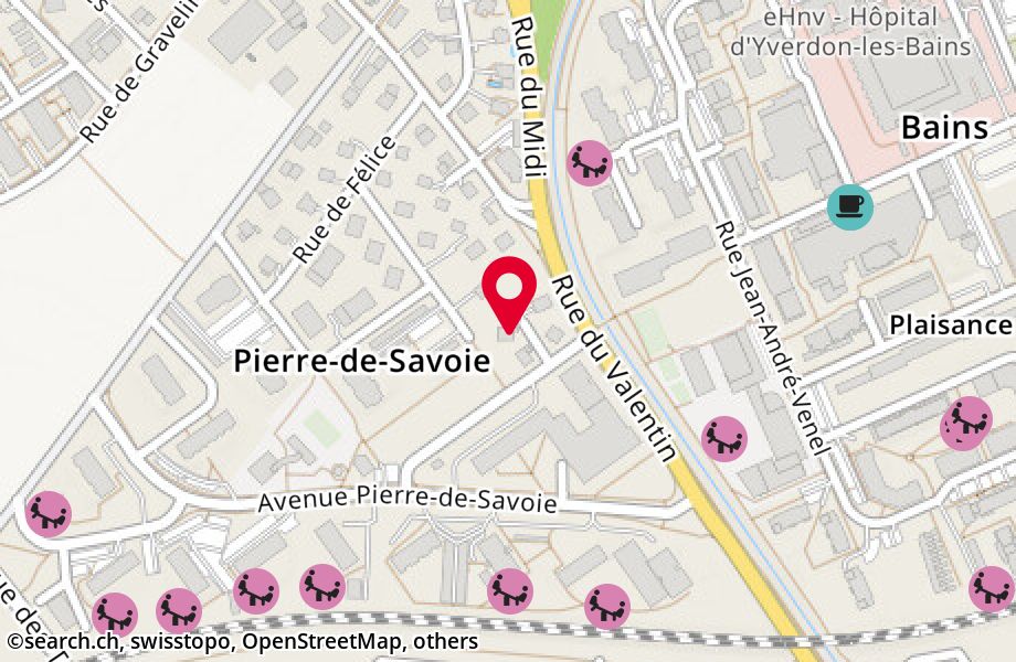 Rue de Pyrame-de-Candolle 41, 1400 Yverdon-les-Bains