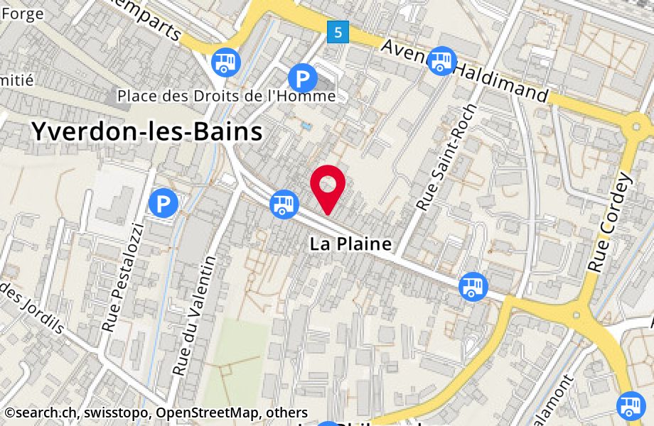 Rue de la Plaine 33, 1400 Yverdon-les-Bains