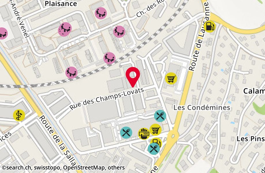 Rue des Champs-Lovats 21, 1400 Yverdon-les-Bains