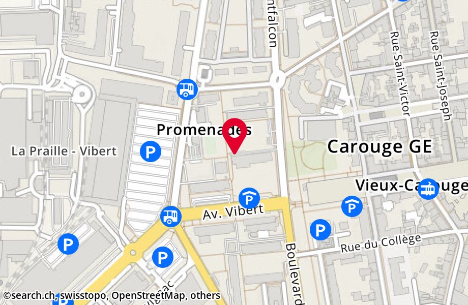 Avenue Vibert 18, 1227 Carouge