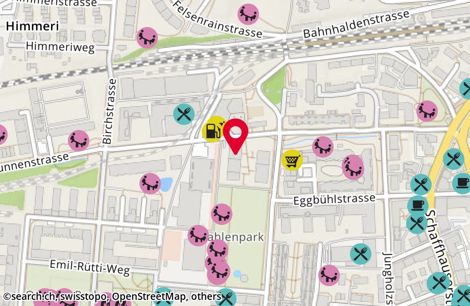 Neunbrunnenstrasse 33, 8050 Zürich