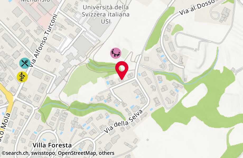 Via della Selva 14, 6850 Mendrisio