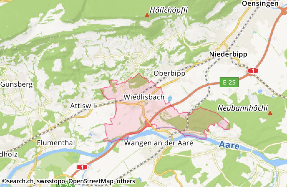 4537 Wiedlisbach