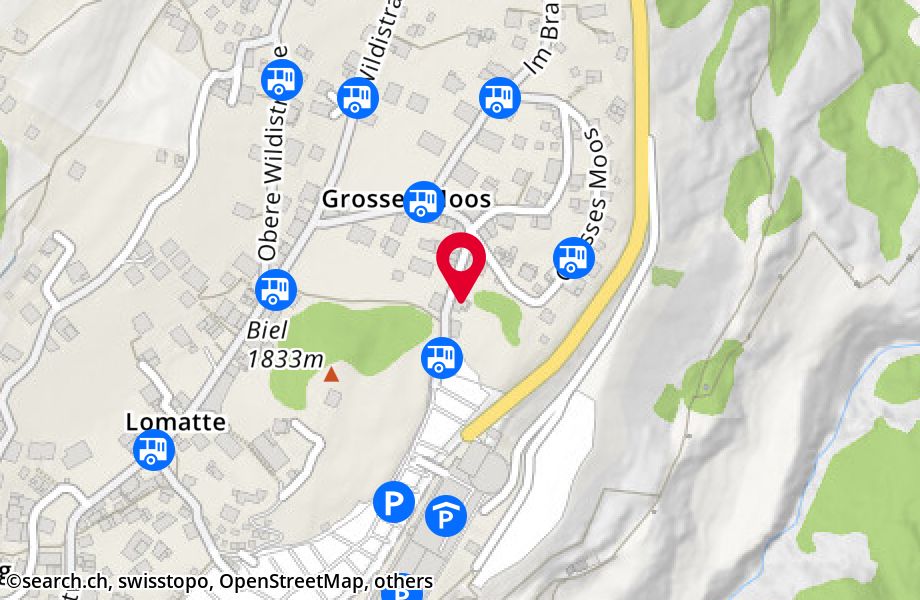 Parkstrasse 22, 3906 Saas-Fee