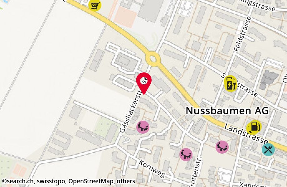 General-Guisan-Strasse 63, 5415 Nussbaumen
