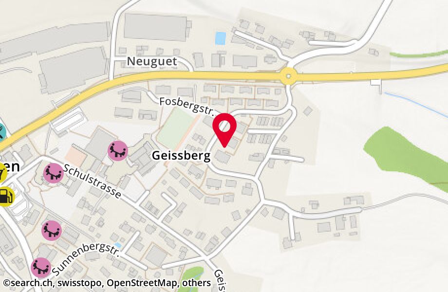 Geissbergstrasse 17, 8633 Wolfhausen