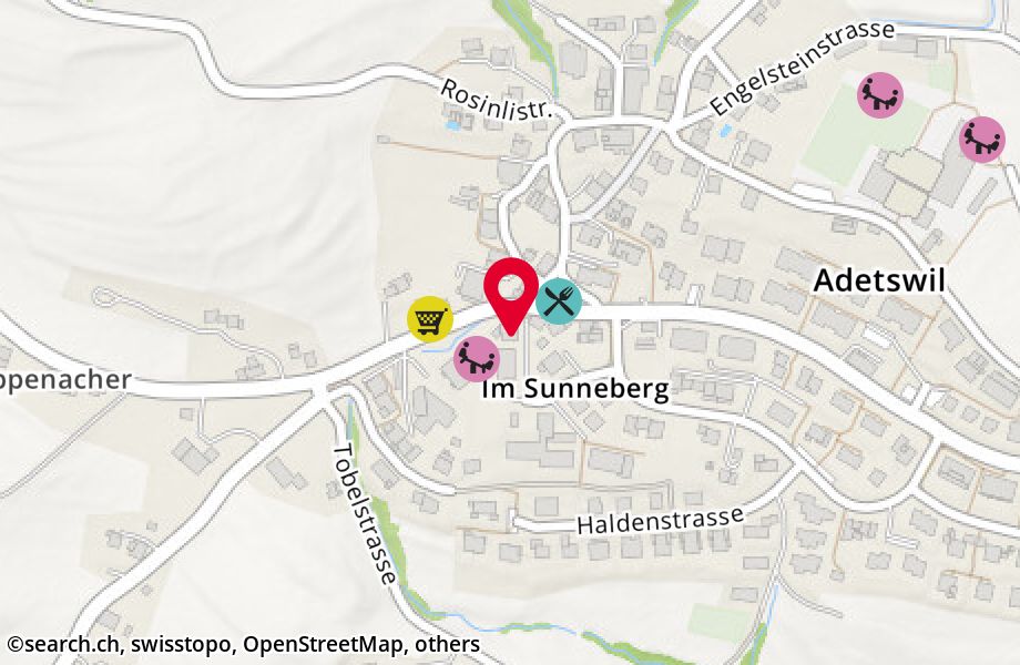 Im Sunneberg 15, 8345 Adetswil