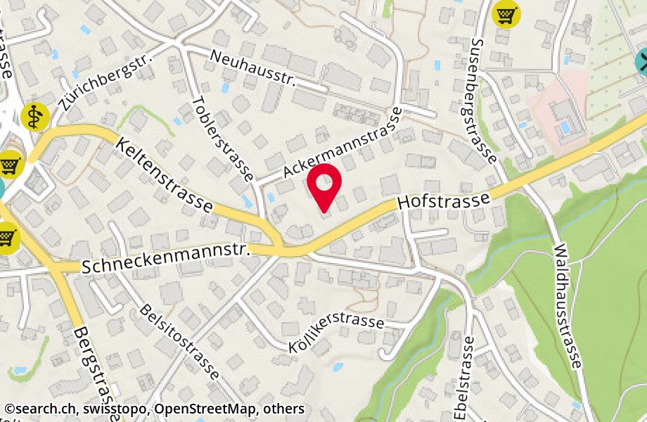 Hofstrasse 119, 8044 Zürich