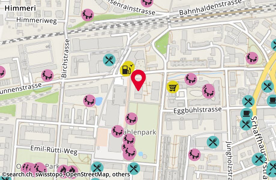 Neunbrunnenstrasse 35, 8050 Zürich