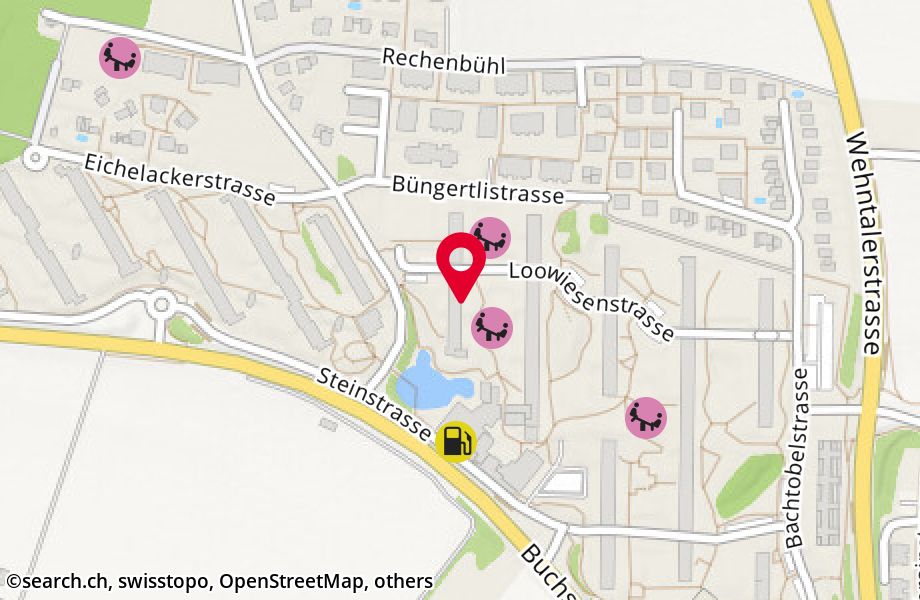 Loowiesenstrasse 59, 8106 Adlikon b. Regensdorf