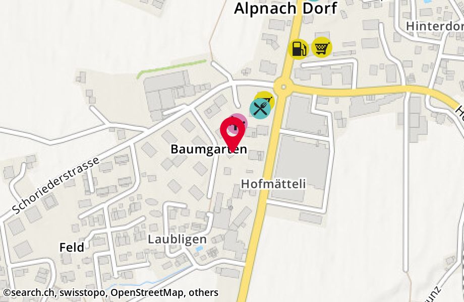 Baumgartenstrasse 11, 6055 Alpnach Dorf