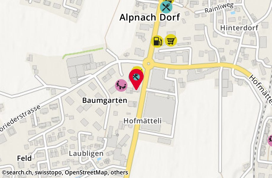 Baumgartenstrasse 9, 6055 Alpnach Dorf
