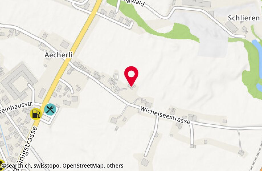 Wichelseestrasse 21, 6055 Alpnach Dorf