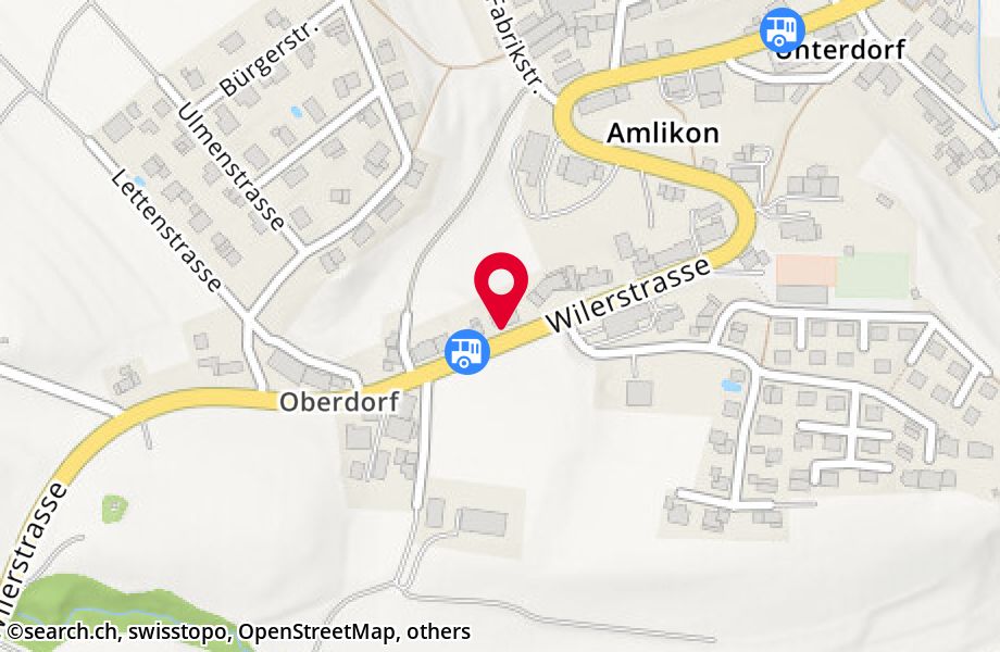 Wilerstrasse 54, 8514 Amlikon-Bissegg