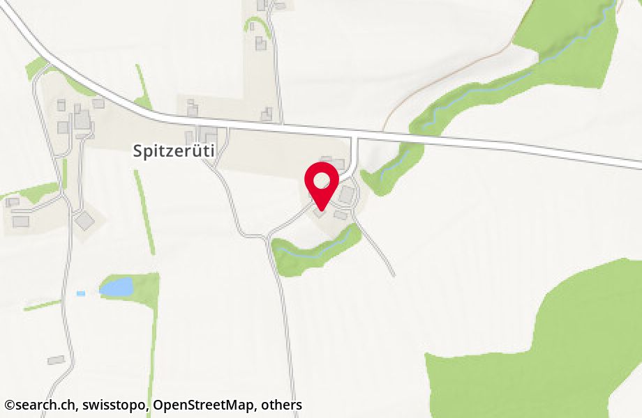 Spitzerüti 3, 8580 Amriswil