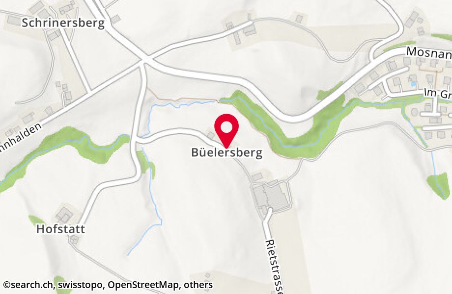 Büelersberg 1069, 9606 Bütschwil