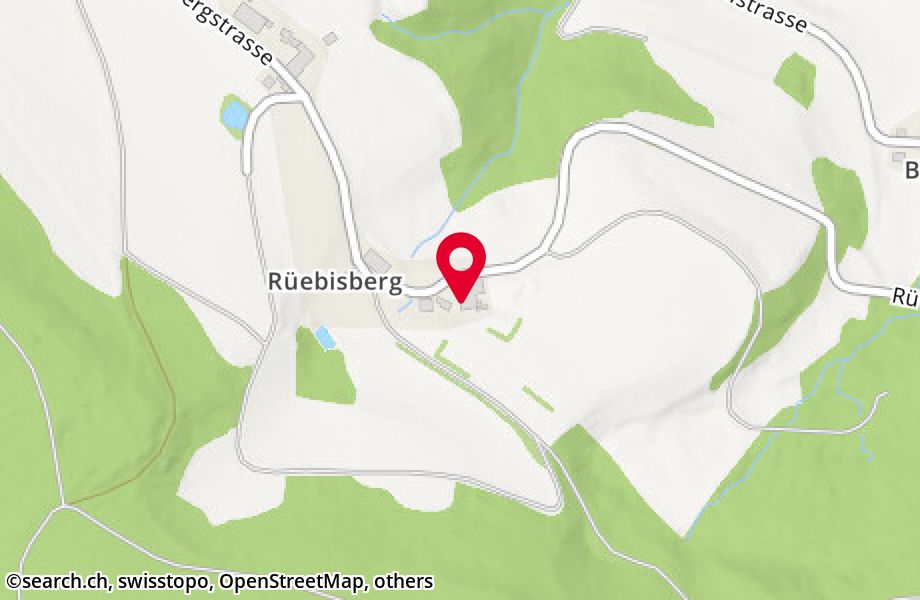 Rüebisberg 3, 8164 Bachs