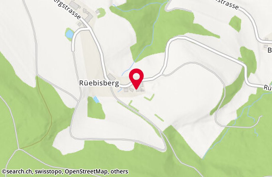 Rüebisberg 3, 8164 Bachs