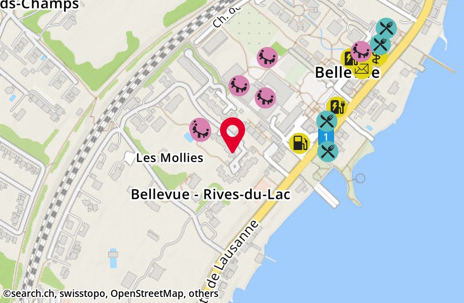 Chemin des Mollies 114, 1293 Bellevue