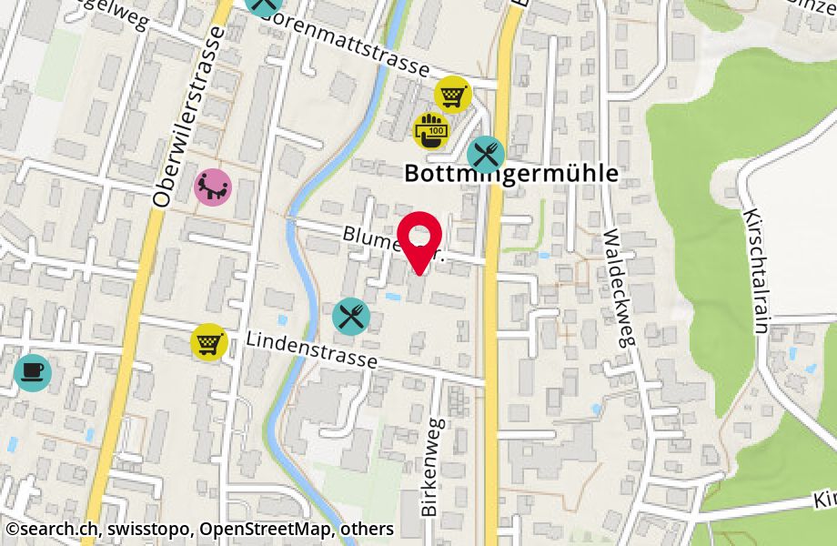 Blumenstrasse 11, 4102 Binningen