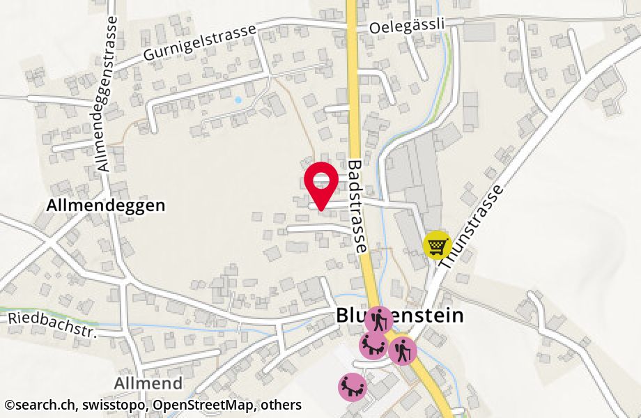 Badstrasse 9, 3638 Blumenstein