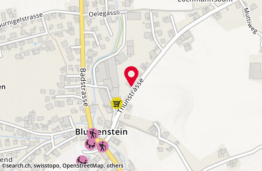Thunstrasse 13, 3638 Blumenstein