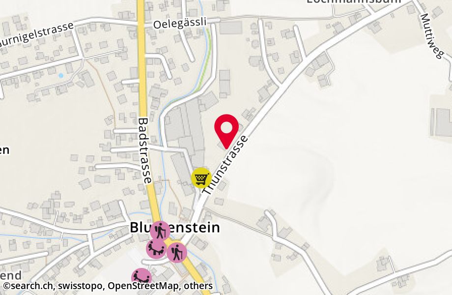 Thunstrasse 13, 3638 Blumenstein