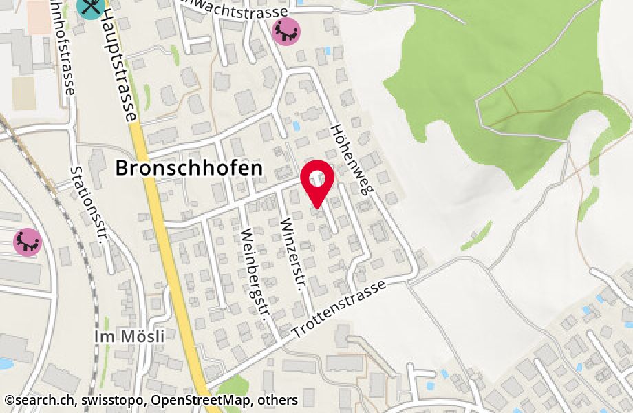 Burgstallstrasse 4, 9552 Bronschhofen