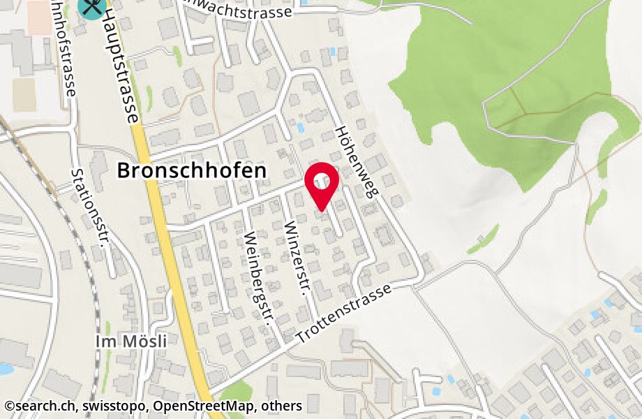 Burgstallstrasse 4, 9552 Bronschhofen