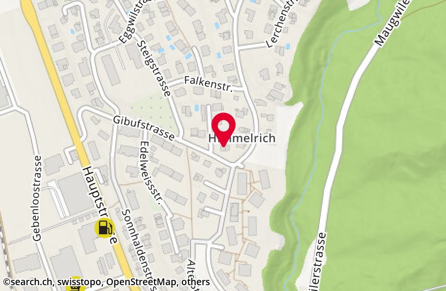 Gibufstrasse 17, 9552 Bronschhofen