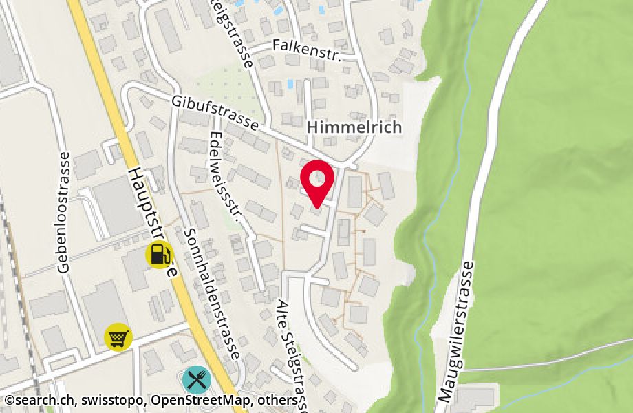 Himmelrichstrasse 11, 9552 Bronschhofen