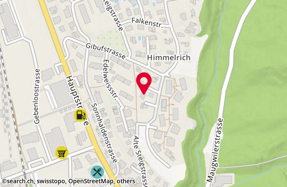 Himmelrichstrasse 13, 9552 Bronschhofen
