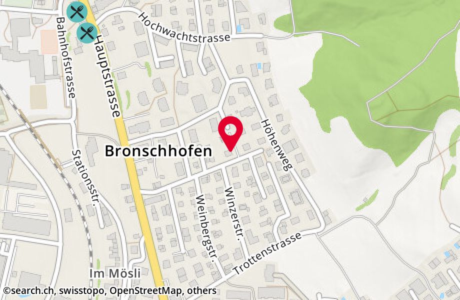 Lettenstrasse 7, 9552 Bronschhofen