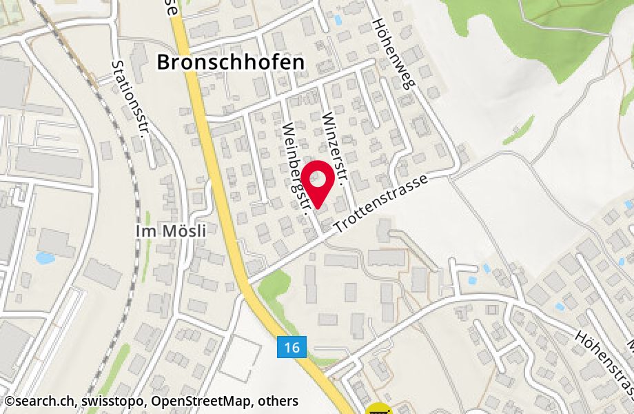 Weinbergstrasse 13, 9552 Bronschhofen