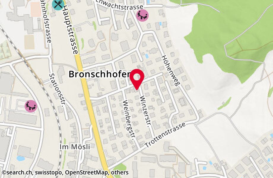 Winzerstrasse 2, 9552 Bronschhofen
